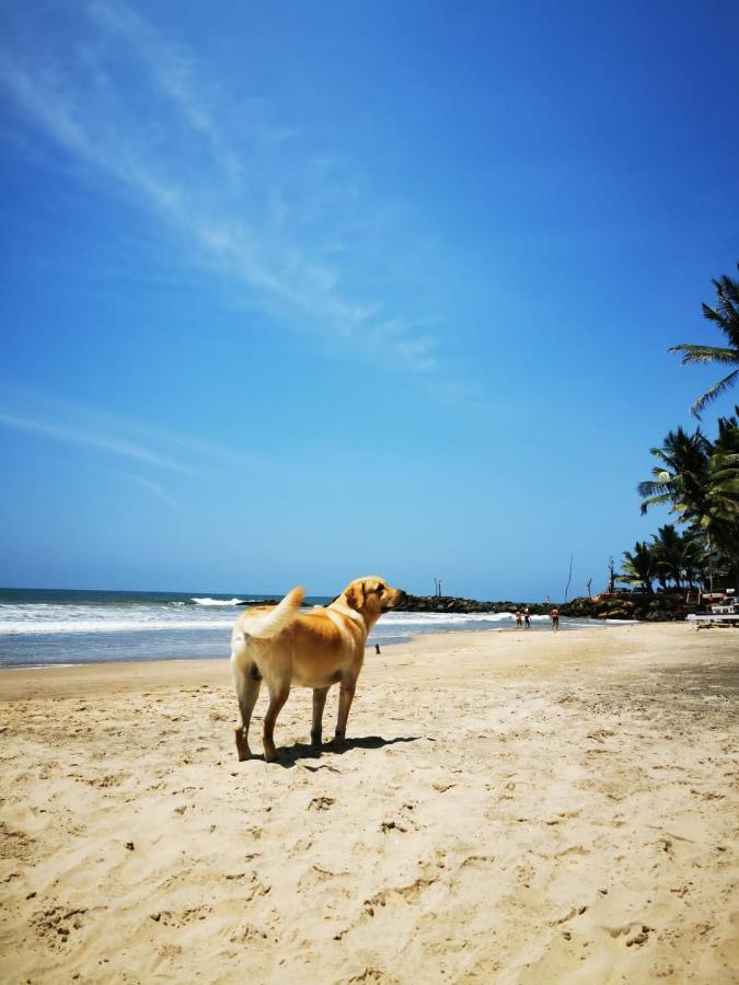 Amaranthe Beach Cabanas Boossa ภายนอก รูปภาพ